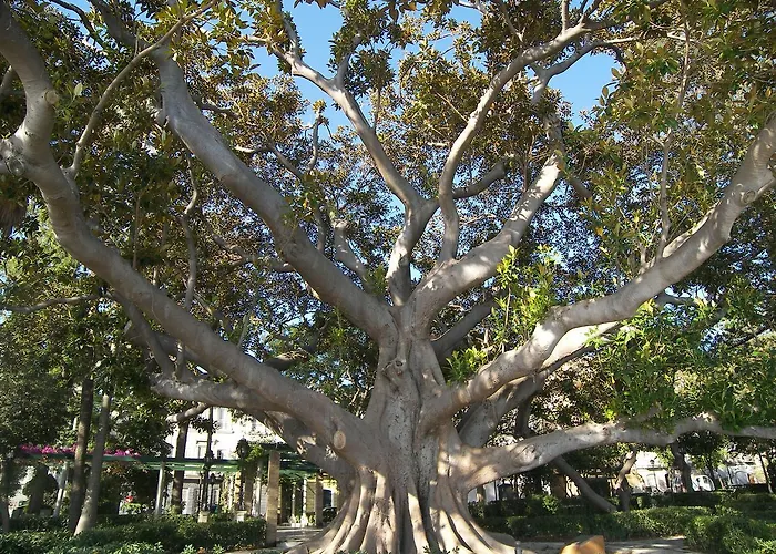 Atico Centro Historico * Cadice