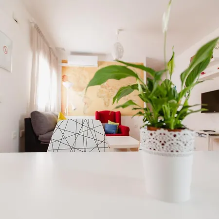 Atico Centro Historico 加的斯