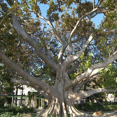 Atico Centro Historico * 加的斯